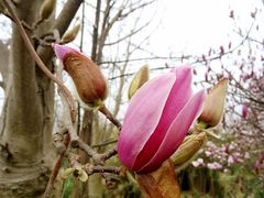 -白鹭湾湿地公园