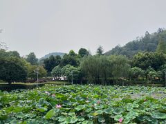-重庆园博园