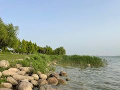 -苏州湾体育公园