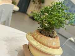 -山与蓝·轻糖鲜果蛋糕(勒泰店)