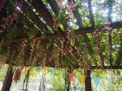 -西安汉城湖景区