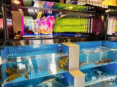 -涿派·炝锅鱼(涿州店)