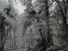 -杭州西湖风景名胜区-满觉陇四眼井