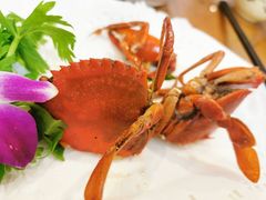 -友强·23年特色海鲜大排档(厦门店)