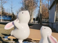 -春晖园度假酒店温泉