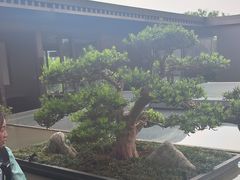 -外滩·云南人家(昆明旗舰店)