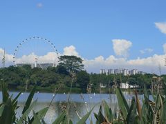 -顺峰山公园
