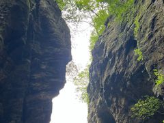 -牛背梁国家森林公园