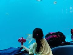 -瑞德姆美人鱼海底演艺主题餐厅(亚龙湾店)