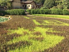 -韶山毛泽东同志故居