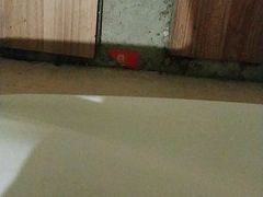 -7天酒店(万寿宫中山路八一馆店)
