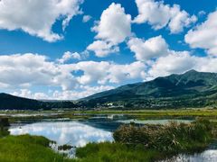 -腾冲北海湿地