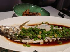 -桂满陇·海市蜃楼·黑金(国金店)