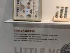 -重庆欢乐海底世界