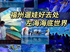 -左海海底世界