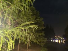 -尚贤河湿地