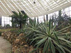 -苏州太湖国家湿地公园