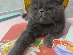 -瑞虹新天地月亮湾