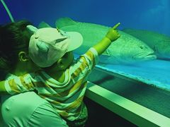 -北戴河圣蓝海洋公园