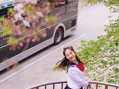 -上海南浦大桥长途旅游客运站