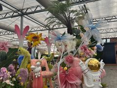 -荷兰花海
