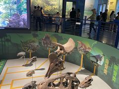 -国家自然博物馆