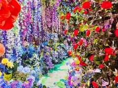 -正佳雨林生态植物园