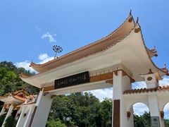 -深圳仙湖植物园