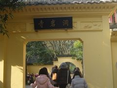 SNV85465-灵栖洞天