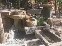 -广州白江湖森林公园