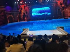 -波塞冬海底世界