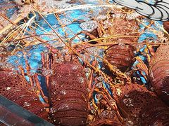 -徐记海鲜(大雁塔|金都店)