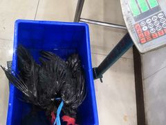 -雪野鱼头大王邢府公老店(雪野湖店)