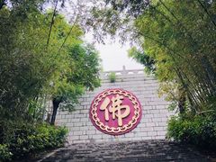 -竹林寺
