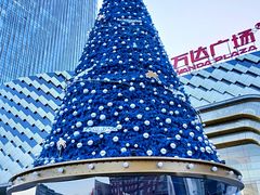 -万达广场(龙湖店)