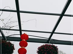 -东平国家森林公园