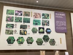 -北京中医药大学-中医药博物馆