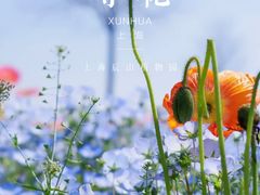 -上海辰山植物园