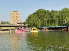 -团结湖公园