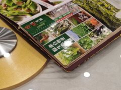 -姚林轩