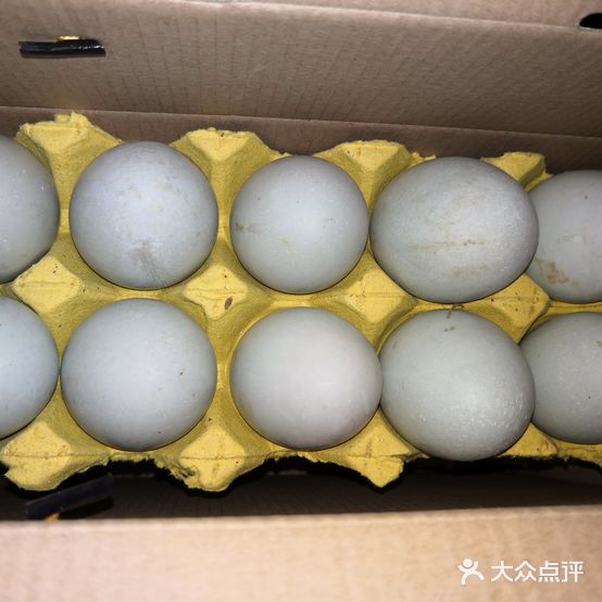 绿壳海鸭蛋专卖店