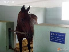 -松声马术俱乐部