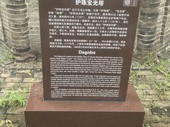 -上海佘山国家森林公园天马山园