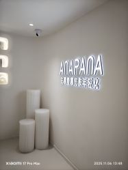 -安那般那皮肤年轻化ANAPANA