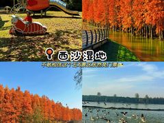 -上海怡沁园度假酒店