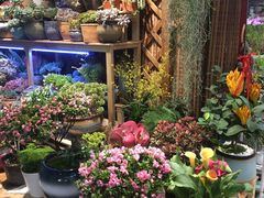 -双季花艺园艺市场(浦东店)