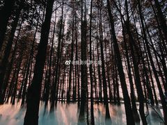 -东湖落雁景区