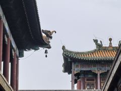 -须弥福寿之庙