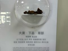 -北京中医药大学东方医院(方庄院区)