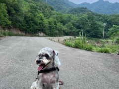 -北京山里寒舍度假酒店